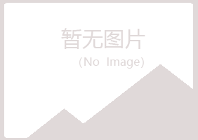 崂山区忆伤零售有限公司